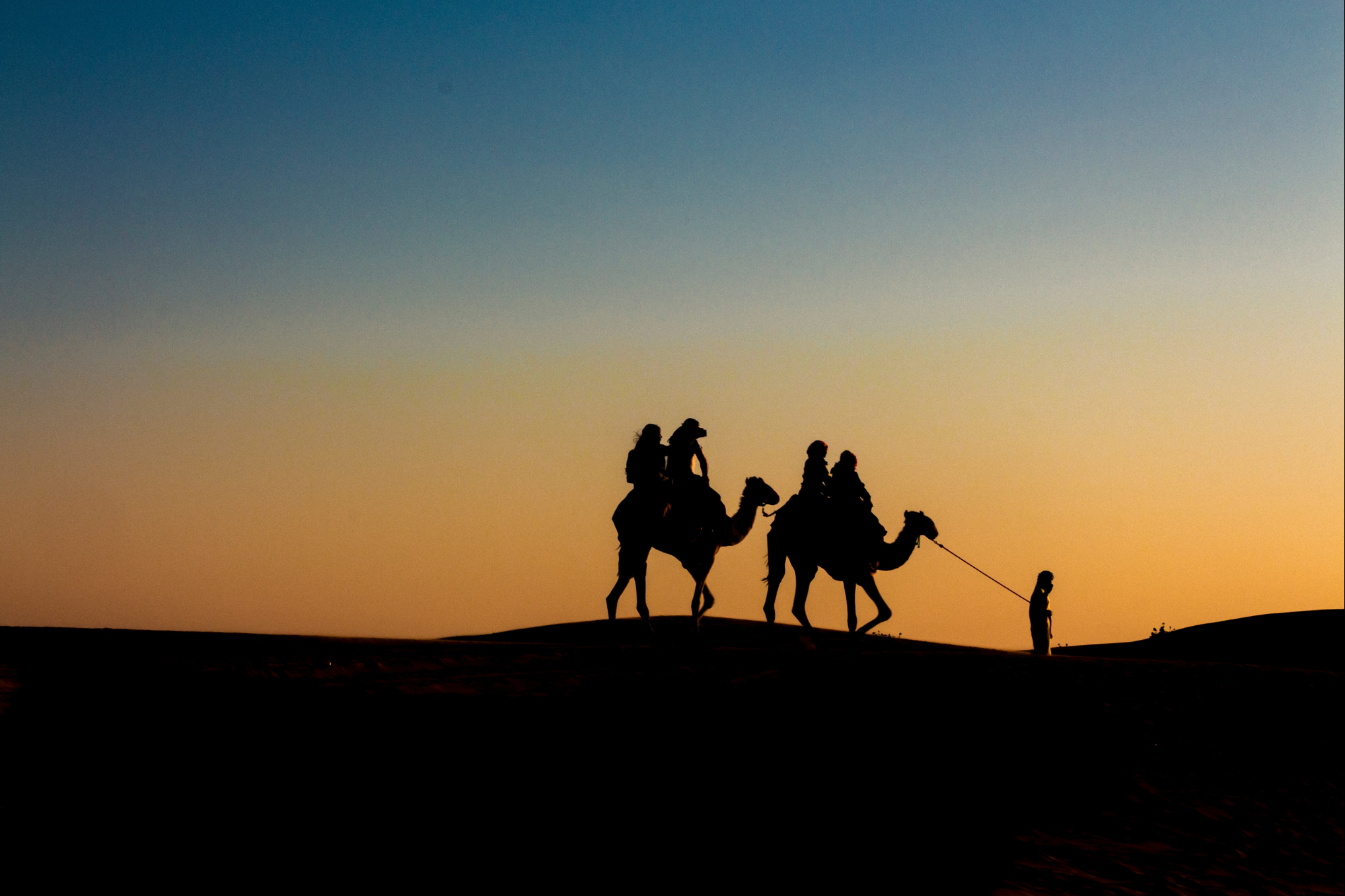 Silhueta de dois camelos com duas pessoas em cima de cada camelo e uma pessoa a frente puxando o primeiro camelo