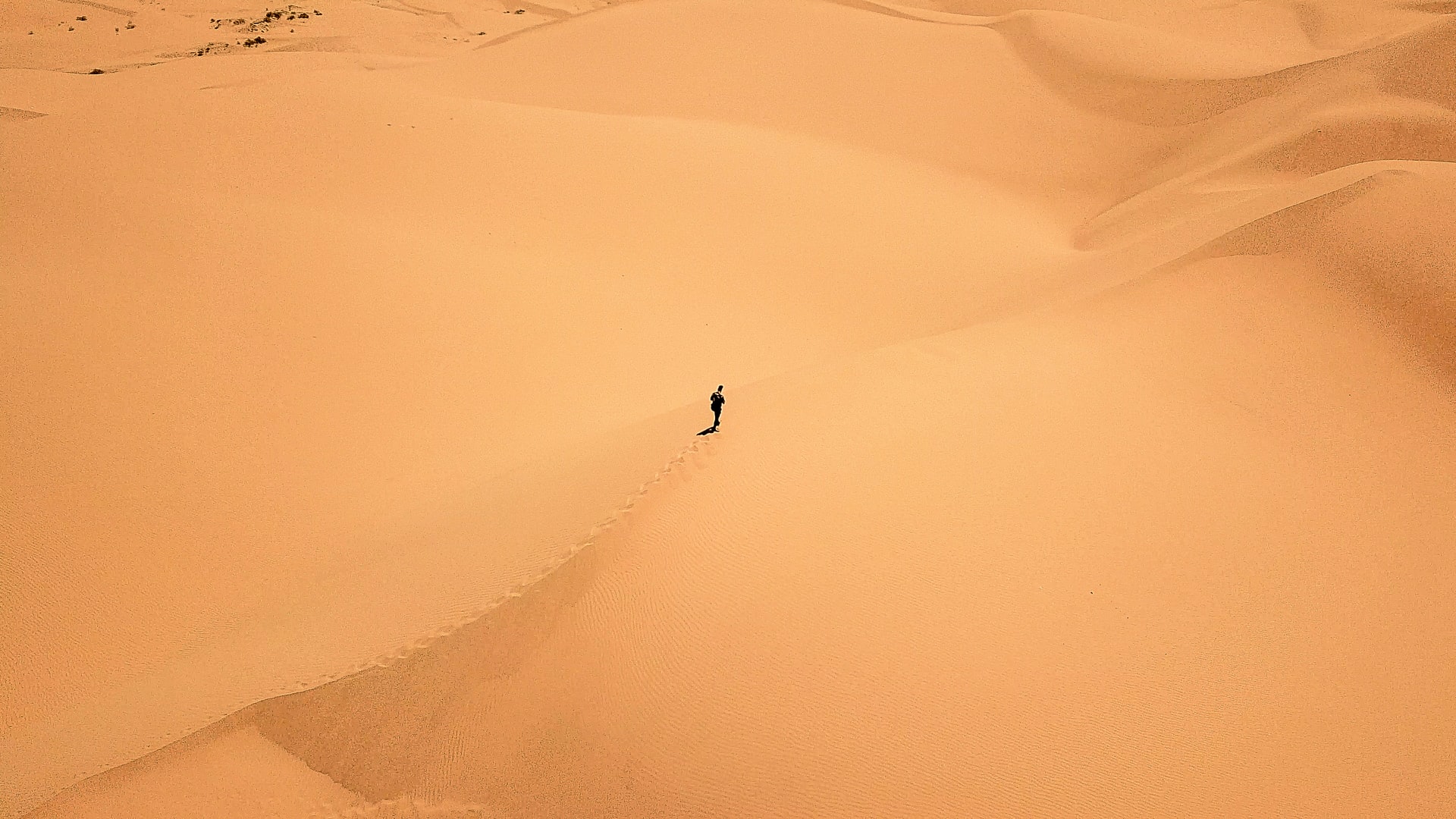 Uma pessoa sozinha e sem muitos recursos no meio de um vasto deserto, visto de cima.